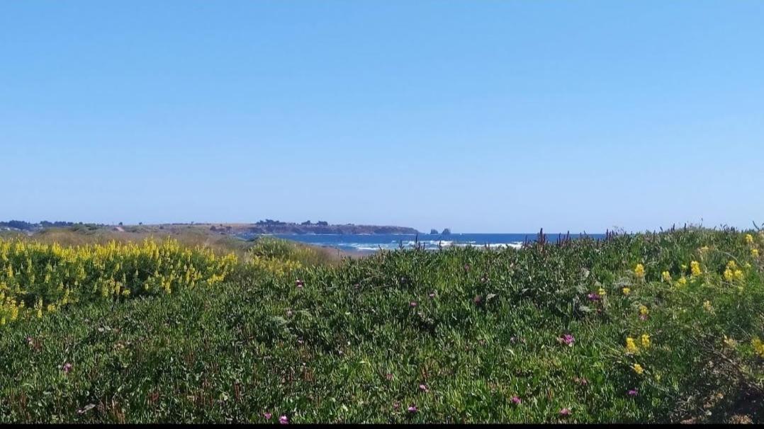פיצ'ילמו Saldemar Playa Hermosa מראה חיצוני תמונה